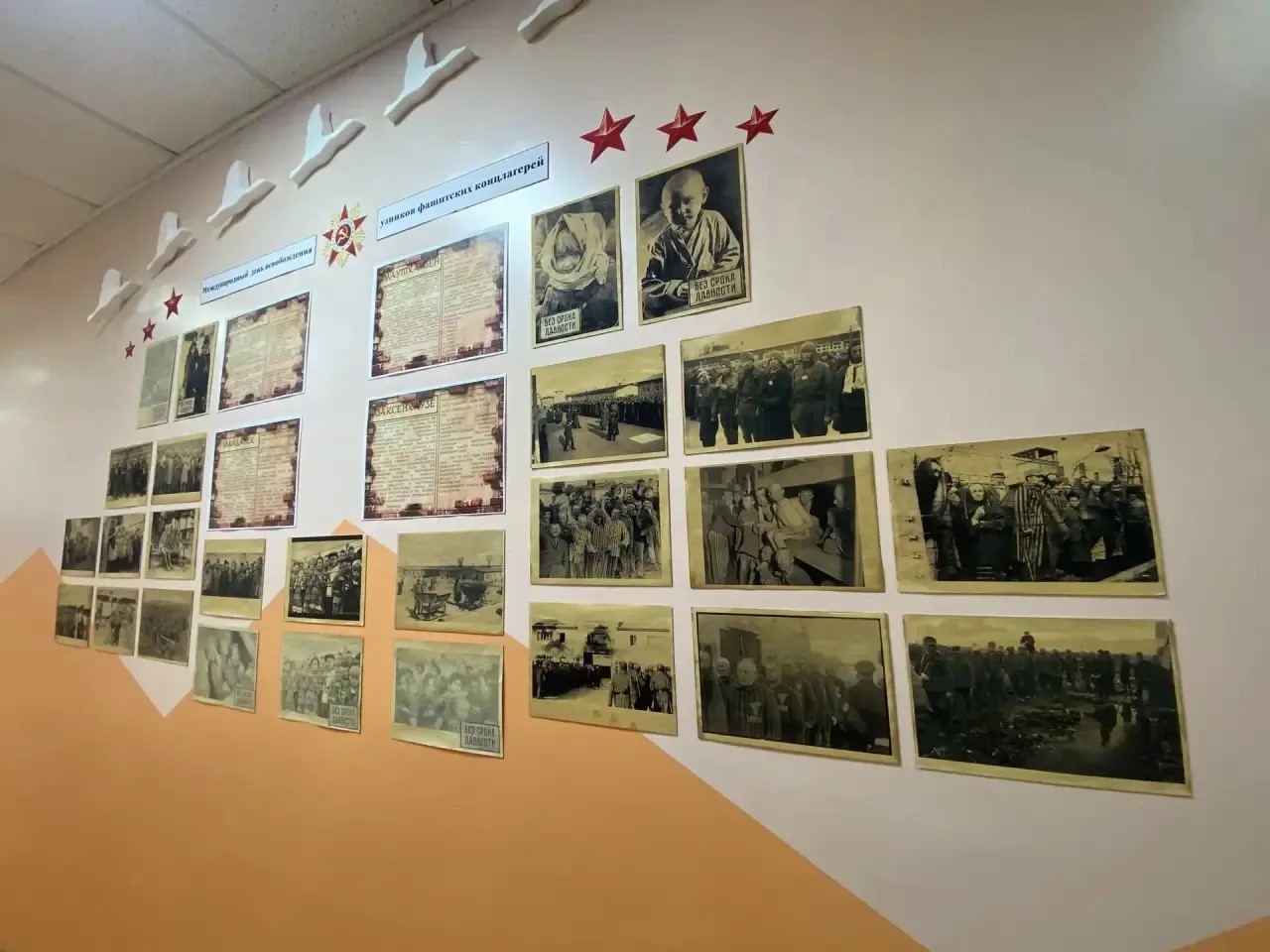 1ec198f9 6e4c 479f 97bc c4fad5ccad3f